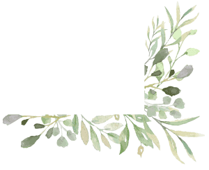 une image d'un cadre de plante en bas à droite