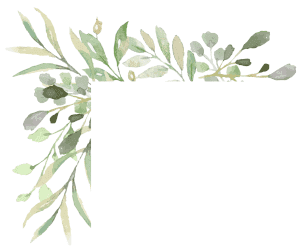 une image d'un cadre de plante en haut à gauche