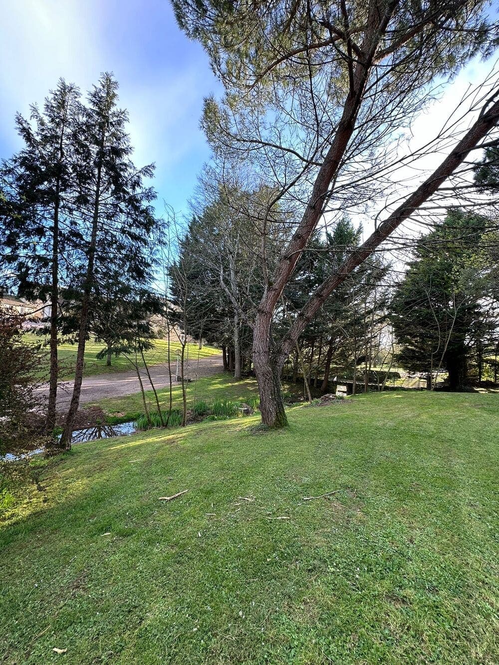 Le parc enchanteur du Domaine du Vieux Lavoir, où la verdure et un arbre côtoient un charmant petit ruisseau qui serpente paisiblement. Ce cadre naturel et serein est idéal pour des promenades relaxantes, des séances photos mémorables ou simplement pour profiter de la quiétude des lieux. Il offre un arrière-plan idyllique pour vos mariages et grandes réceptions dans les Deux-Sèvres, invitant à la contemplation et à la détente.