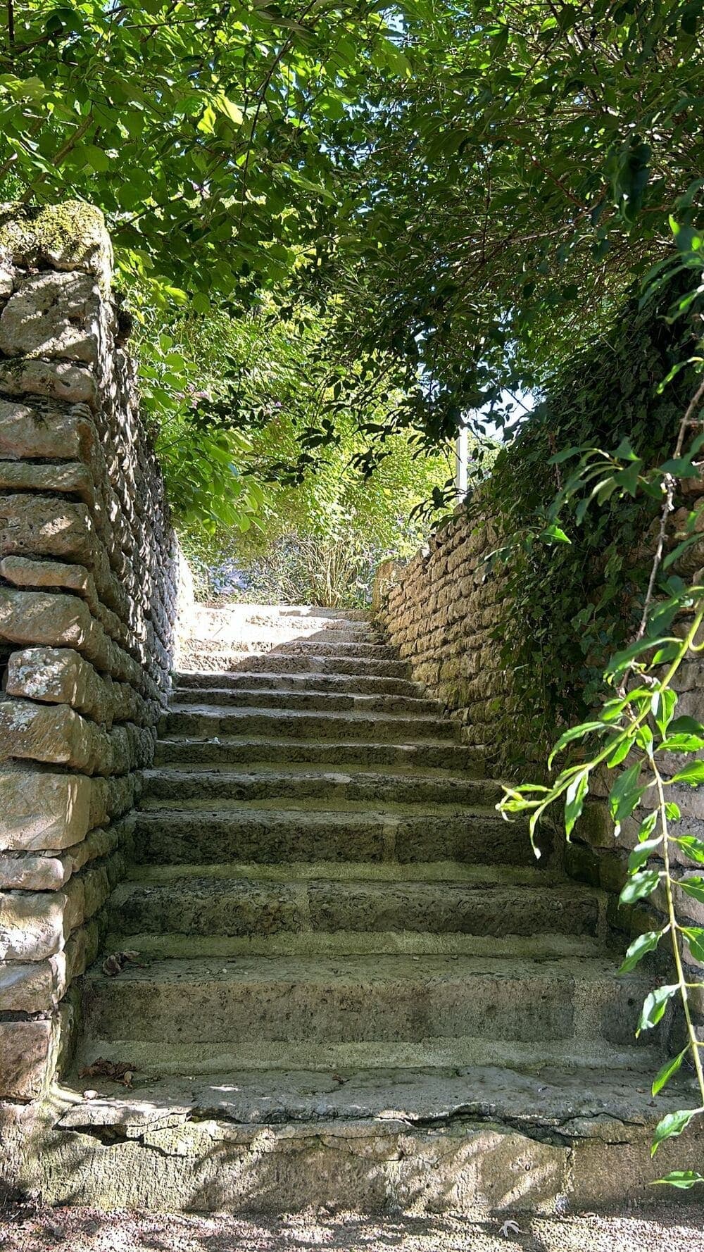 Un des magnifiques escaliers en pierre que l'on découvre au Domaine du Vieux Lavoir, témoignant de l'architecture authentique et du charme intemporel des lieux. Cet élément, à la fois fonctionnel et esthétique, contribue au caractère unique de notre domaine. Il invite à la découverte des différentes sections de notre propriété, idéale pour vos mariages et grandes réceptions dans les Deux-Sèvres, où chaque détail raconte une histoire.